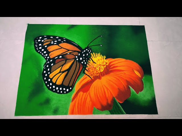 Realistic butterfly flower poster rangoli by light2dark shade