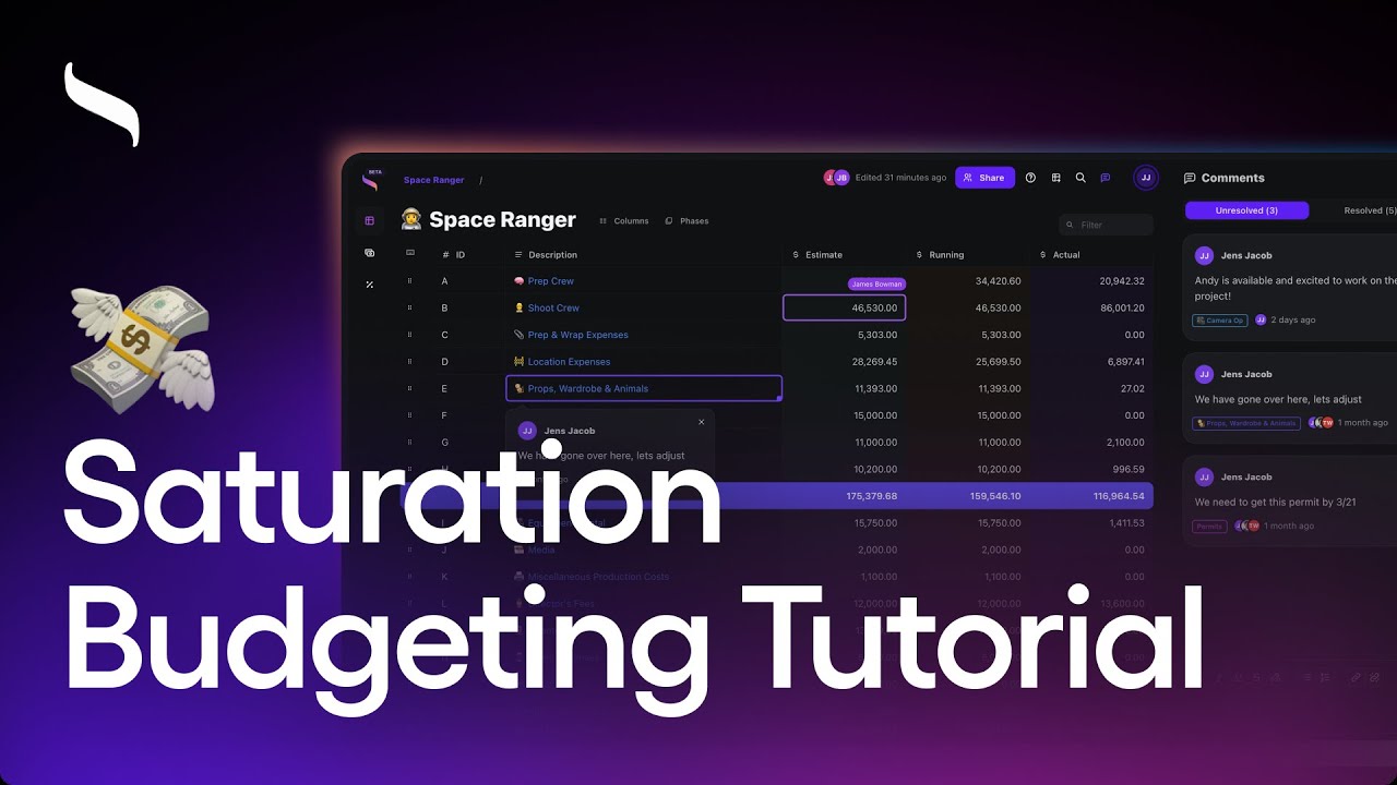 Saturation Budgeting Tutorial (2024)