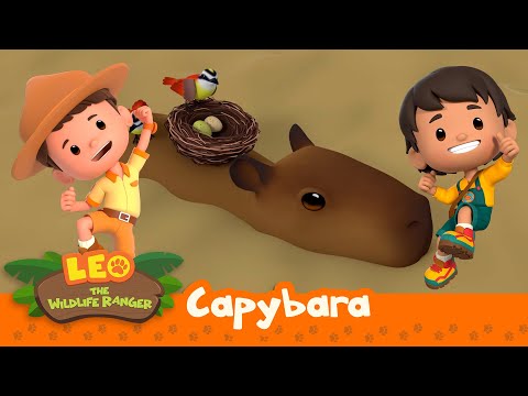 Capybara | JUNGLE FIRE! Get Them to Safety, Leo! | Friendly Animals | Leo the Wildlife Ranger | Kids
