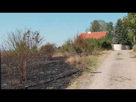 Info -Niš pojačava mere zaštite od požara (TV KCN 21.07.2026)