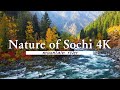 Nature of Sochi 4K is a Picturesque Relaxing movie with Soothing music. Flying over a mountain river