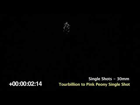 46 Tourbillion to Pink Peony Single Shot