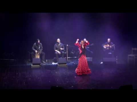 Dana Arnon - Flamenco Dancer - Taranto