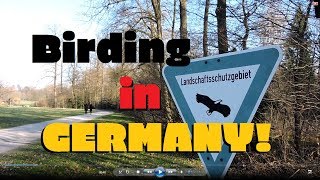 BIRDING IN GERMANY!!! The Bird Bros. Ep. 50