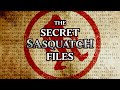 The Secret Sasquatch Files All Episodes