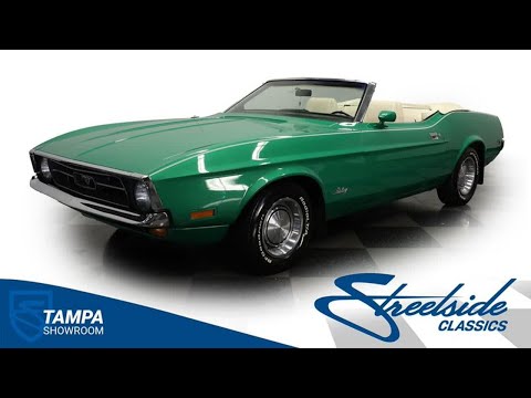 1971 Ford Mustang (CC-2051993) for sale in Lutz, Florida
