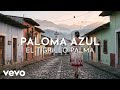 El Tigrillo Palma - Paloma Azul (Visualizer)