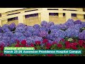 Festival Of Flowers 30th Anniversary