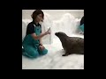 Top 5 Low Quality Videos