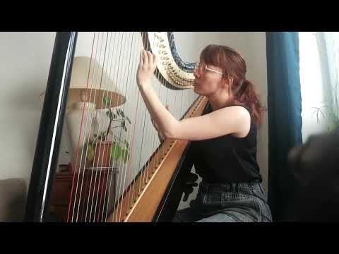 Etude de concert "Au matin" | Hasselmans || Mélanie CHEVRON