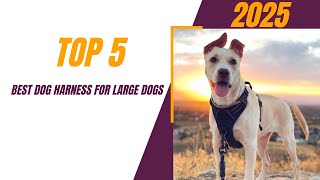Top 5 Dog Harness Brands for Large Dogs You Can't Ignore