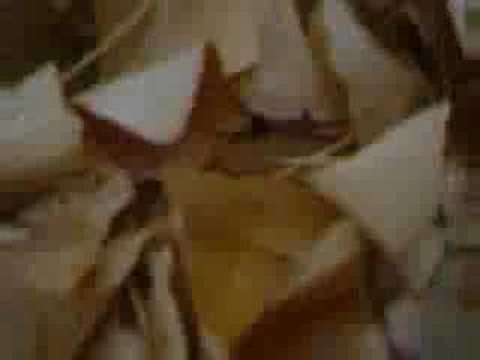 GUYVE - 'Romplin' excerpt w/video
