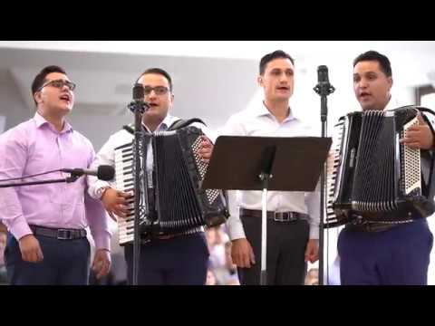 Frații Strugaru, "Eu nu te las"