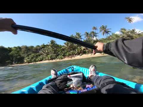 2nd YouTube video about are there sharks in puerto rico