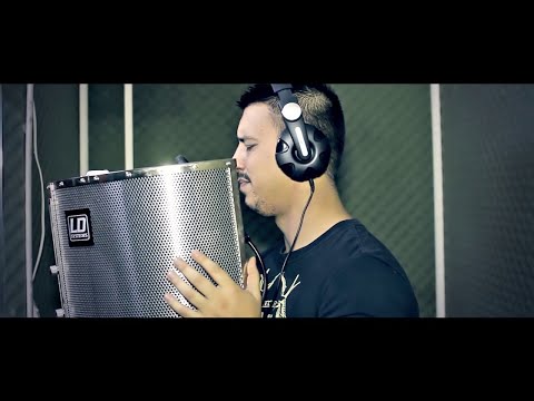 DANI PRINTUL BANATULUI  - BANII ASTIA MA OMOARA  | Official Video