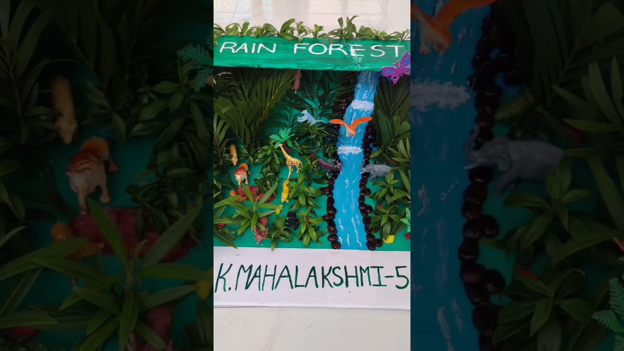 Rainforest 3D project by maha 🦜🐦🌴🌲🦜🐦