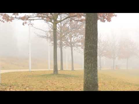 Action Éducative en Milieu Ouvert