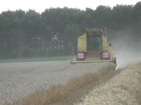 Coppein: Maaidorsen.