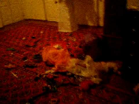 Vivip at Samira's birthday