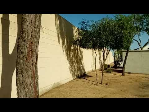 Dan Dan Vlog #523: Another video tracing the former route of Randolph Road