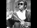 Steve Cropper + Albert King  Trashy Dog
