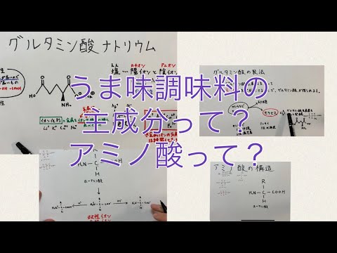 薬学科 ［高校生以上向け］うま味調味料の主成分、アミノ酸について　(『栄養分の吸収に関する問題』の補足２)