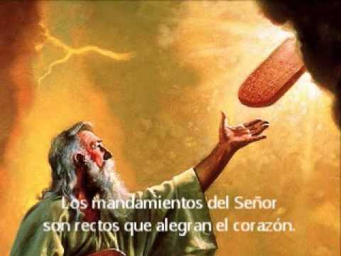 La Ley Del Señor - Nueva Alianza