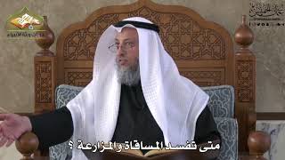 678 - متى تفسد المساقاة والمزارعة ؟ - عثمان الخميس