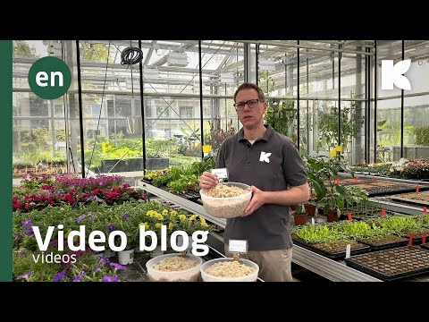 GreenFibre® – Introduction (EN)