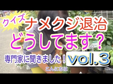 なぜ植物にコルクを入れるのですか？ 4 つの理由、4 つの用途  庭園