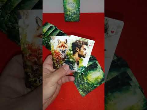 As Cartas do Dia #332  #oraculista