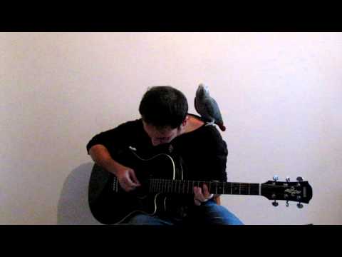 Coldplay - Up With The Birds (cover) (waiting for A Head Full Of Dreams)
