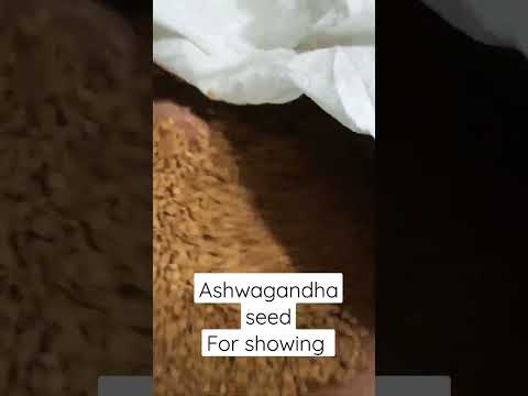 Ashwagandha Seeds