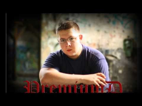 Pussycat Prolls Feat: PremiumD meine vorabversion viedo wird heute abend noch gedreht