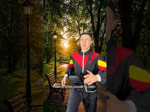 Realita německé dochvilnosti😅🇩🇪 #humor #germany #train #shortsvideo