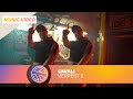 QWALI - VERPEST 2