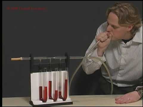 Pressure along a Venturi Tube