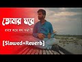 Tomar Ghore Bosot Kore Anirban Sur Anirban Sur Shotes