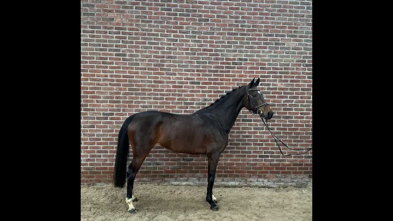 Rosaline's Utopia (DANTE US x LANCELOT) video 1