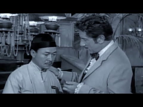 Paladin : Reason & Daylight