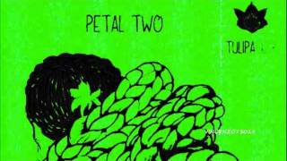 Grant Bay - Shattered (Original Mix) PETAL TWO (TULIPA027)