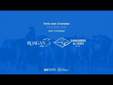Feria San Cristobal | San Cristobal