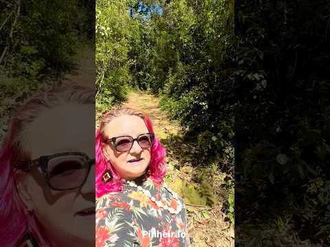 Cidades Gramado Xavier 84/497 SEGUNDA PARTE #riograndedosul #cidadesbrasileiras #cidades #turismo