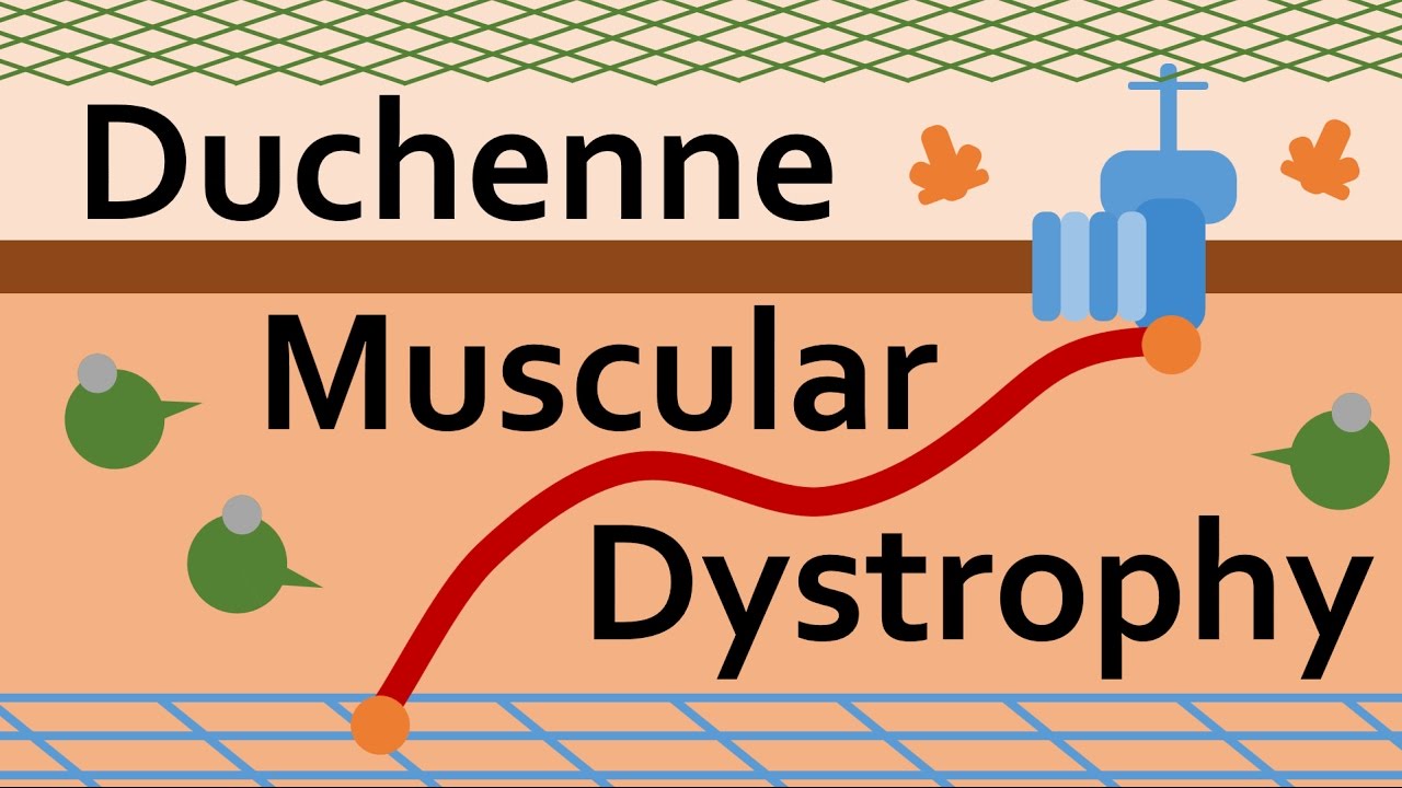 Duchenne Muscular Dystrophy and Dystrophin
