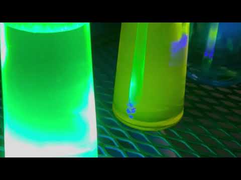 Set Up for Fluorescent Flowers