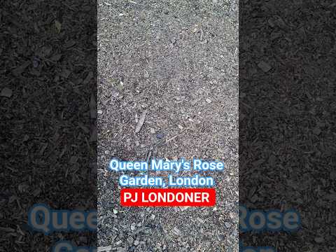 72 - Queen Mary's Rose Garden, London