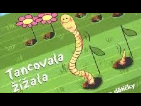 Tancovala žížala