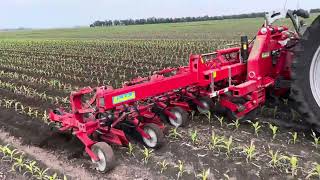 آلة التعشيب والفلاحة Einb&ouml;ck Chopstar 8 | صورة 4 - Agroline