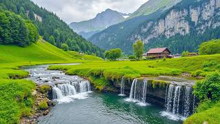 "Remembering August" Beautiful Relaxing Music, Peaceful Soothing Instrumental Music by Love YourSelf