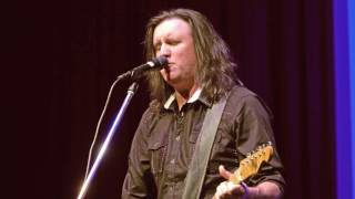 Little Texas Amy&#39;s Back in Austin